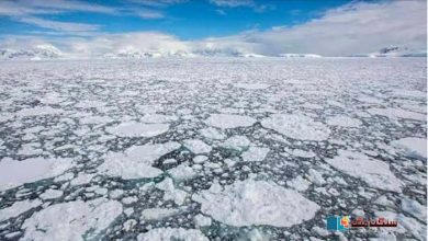 Photo of انٹارکٹک کی برف میں ریکارڈ کمی، جنوری یورپ کے لیے بھی گرم مہینہ رہا