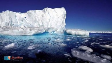Photo of اینٹارکٹیکا برف کا پگھلاؤ۔۔ کیا عالمی سمندری نظام درہم برہم ہونے والا ہے؟