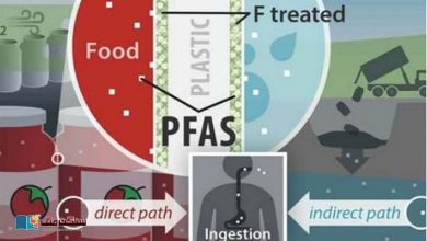 Photo of پلاسٹک کے برتن میں موجود پی ایف ایز ہماری غذا کا حصہ بن سکتے ہیں