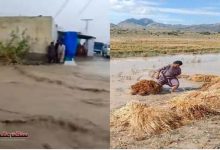 Photo of بلوچستان: بارشوں اور ژالہ باری کے باعث میں کم از کم آٹھ افراد جاں بحق