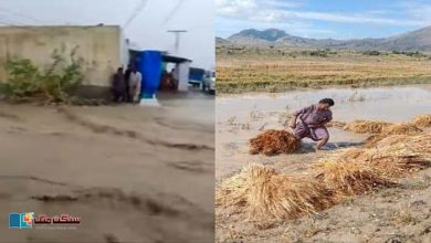 Photo of بلوچستان: بارشوں اور ژالہ باری کے باعث میں کم از کم آٹھ افراد جاں بحق