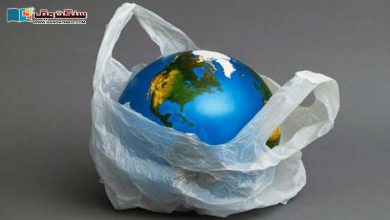 Photo of دنيا سے پلاسٹک کا فضلہ ختم کرنے کا سوال۔۔ کیا یہ ممکن ہو سکے گا؟