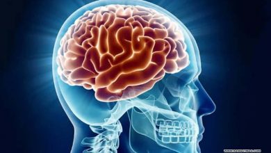 Photo of دماغی ساخت احساس، رویے اور خیالات پر اثر انداز ہوتی ہے، نئی تحقیق میں انکشاف