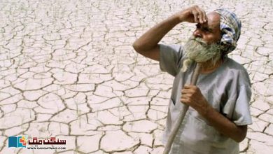 Photo of پاکستان میں خشک مون سون سیزن سے فصلوں کی پیداوار متاثر ہونے کا خدشہ