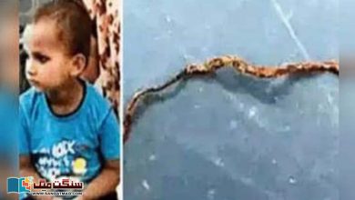 Photo of بھارت کی ریاست اترپردیش میں تین سالہ بچے کے کاٹنے سے سانپ ہلاک!