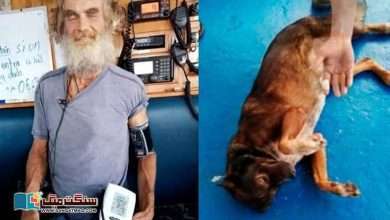 Photo of آسٹریلوی ملاح، جو دو ماہ تک سمندر میں کچی مچھلی کھا کر اور بارش کا پانی پی کر زندہ رہے