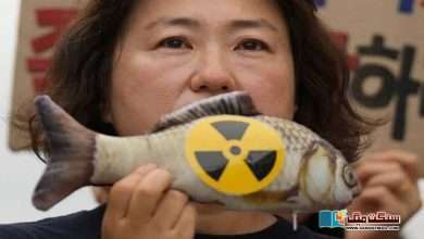 Photo of لوگ جاپانی مچھلی کھانے سے کیوں ڈر رہے ہیں؟