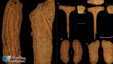 Photo of بلوچی ’سواس‘ ، اسپین میں دریافت ہونے والے ’چھ ہزار سال پرانے‘ گھاس سے بنے جوتے اور جوتے پہننے کی تاریخ
