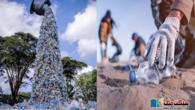 Photo of کیا ماحول سے پلاسٹک کے فضلے کی صفائی محض سرمایہ دار کمپنیوں کا ایک حربہ ہے؟
