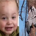 A-four-month-old-baby-in-South-America-was-blown-away-by-a-storm-and-stuck-in-a-tree