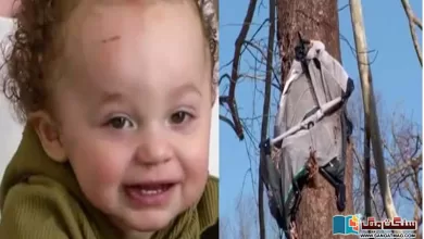 Photo of جسے اللہ رکھے۔۔۔ چار ماہ کا بچہ طوفان میں اُڑ کر پیڑ میں اٹک گیا۔