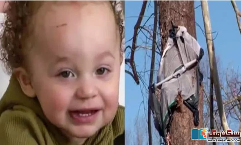 A-four-month-old-baby-in-South-America-was-blown-away-by-a-storm-and-stuck-in-a-tree