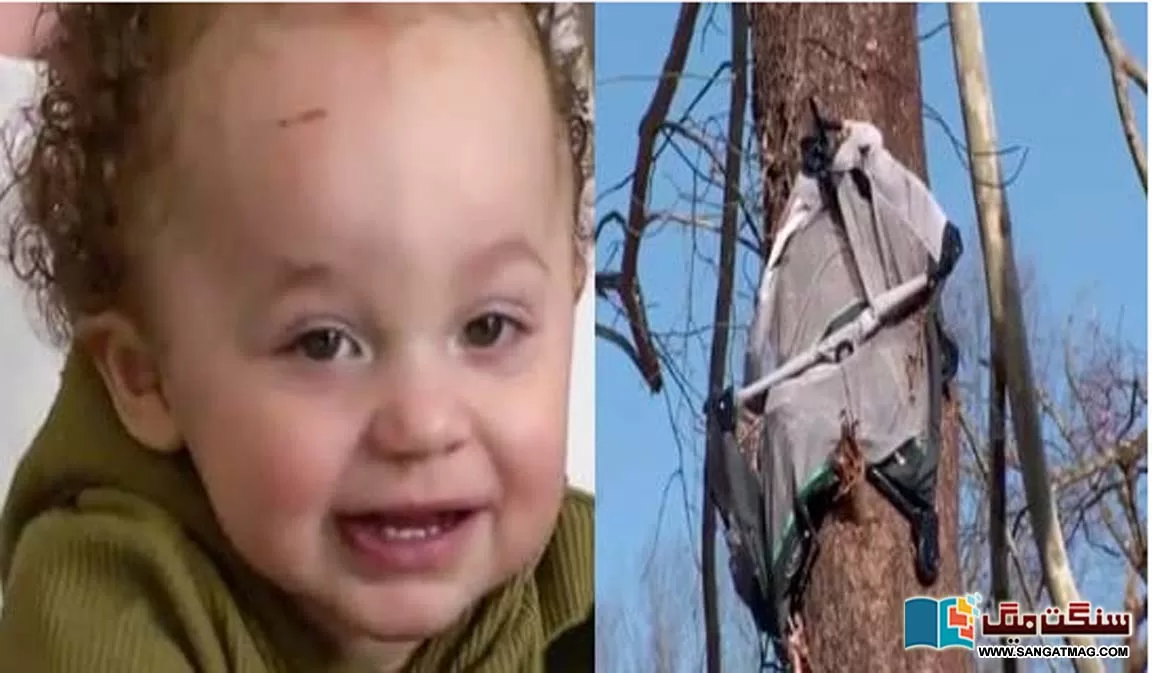 A-four-month-old-baby-in-South-America-was-blown-away-by-a-storm-and-stuck-in-a-tree
