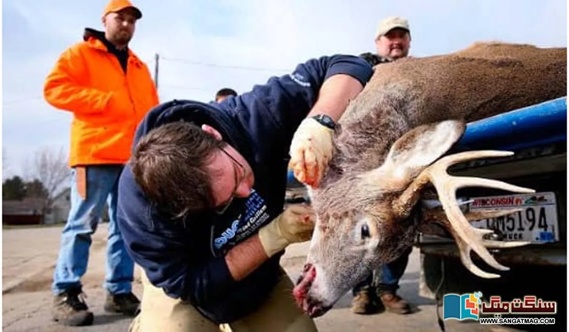 usa-deer-zombie-disease