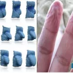 secret-of-wrinkles-on-the-fingers-from-staying-in-water-for-too-long-fingertips-match-the-tongue