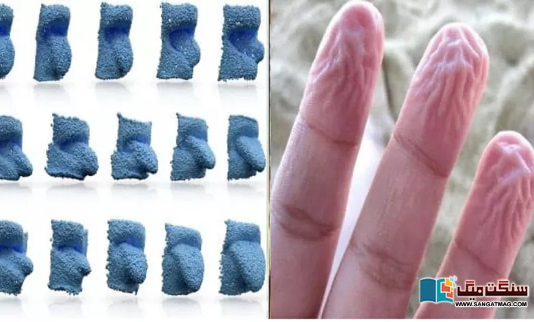 secret-of-wrinkles-on-the-fingers-from-staying-in-water-for-too-long-fingertips-match-the-tongue