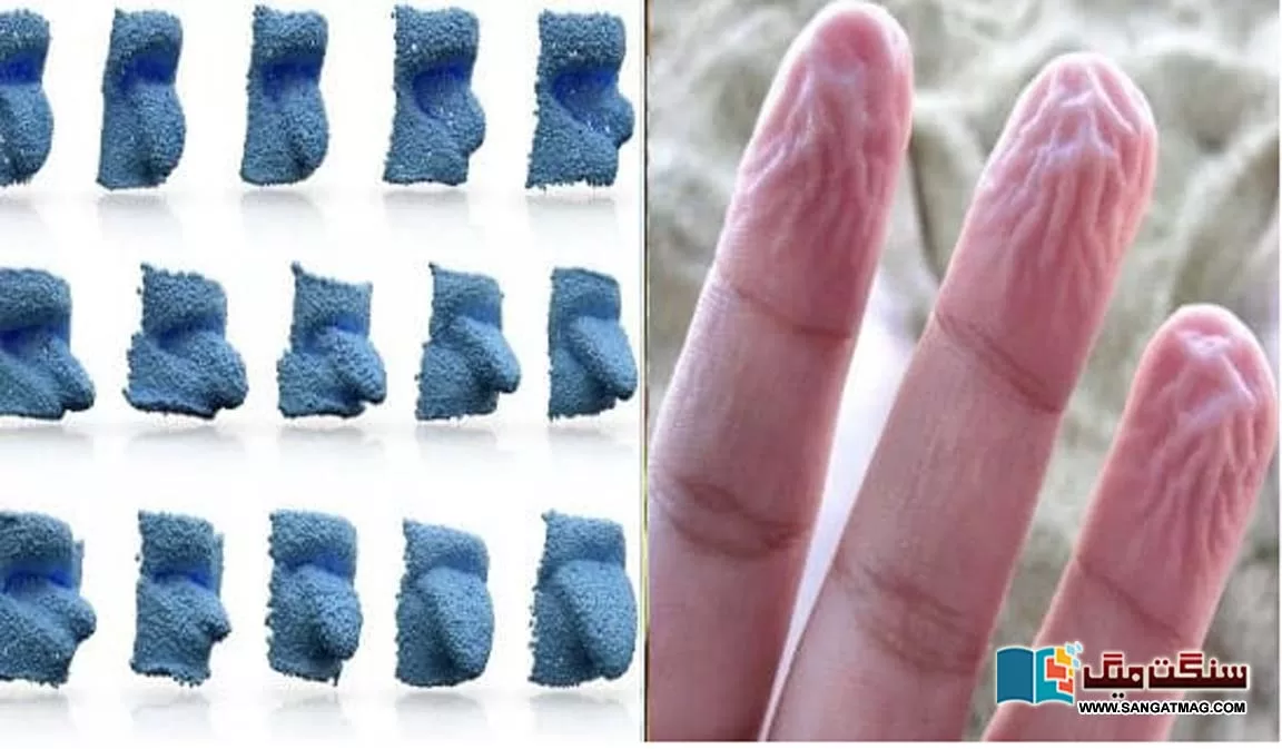 secret-of-wrinkles-on-the-fingers-from-staying-in-water-for-too-long-fingertips-match-the-tongue