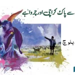 karachi-pollution-free-shepherds-green-pasture-range-land-malir-agriculture