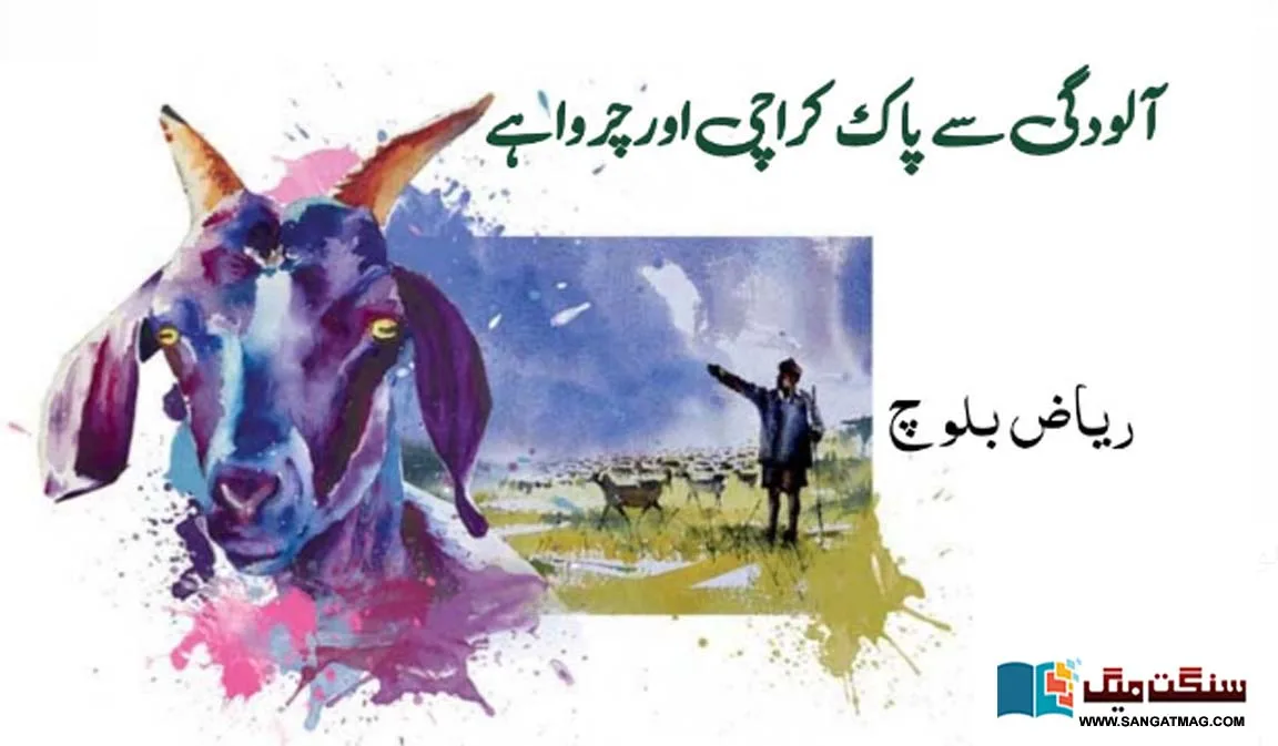 karachi-pollution-free-shepherds-green-pasture-range-land-malir-agriculture
