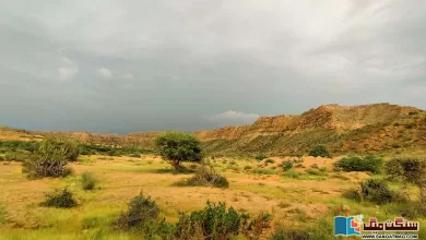 Photo of میگا ہاؤسنگ پروجیکٹس ماحولیاتی تباہی اور کھیرتھر نیشنل پارک