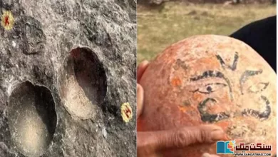 Photo of مدھیہ پردیش: دیوتا سمجھ کر پوجے جانے والے گول پتھر  ڈائنوسار کے انڈے نکلے۔۔