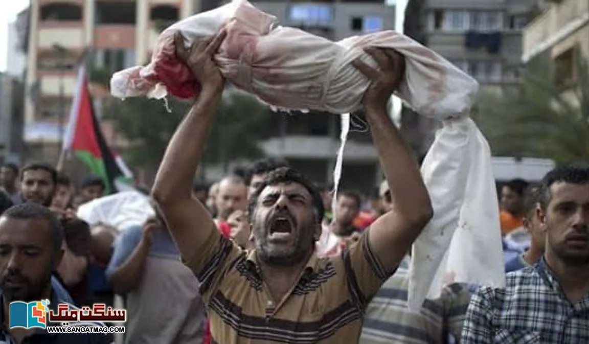 South-Africas-genocide-case-against-Israel-at-the-International-Court-of-Justice