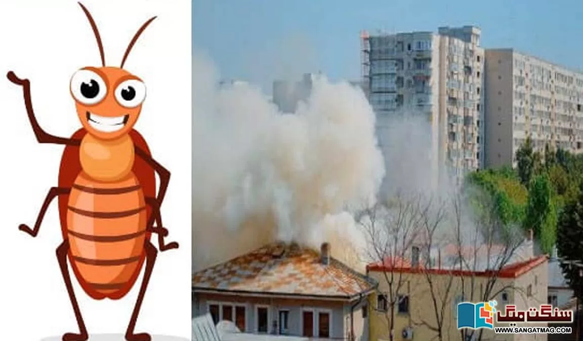 -Japanese-man-blew-up-the-house-in-an-attempt-to-kill-cockroaches