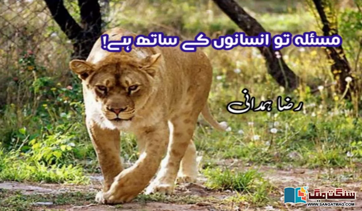 human-wildlife-forest-ecosystem