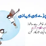 maulana-abu-kalam-azad-indian-education-minister