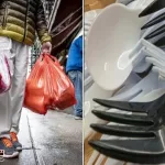 banning-plastic-cutlery-in-canadian-cestaurants-ccience-law-and-government