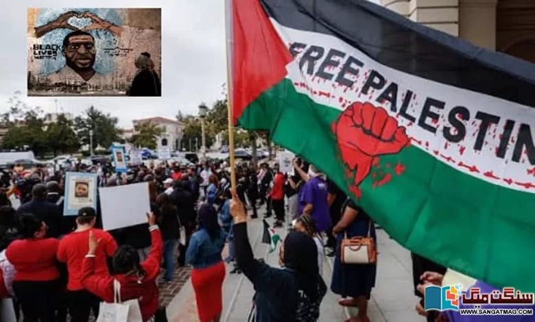 black-americans-growing-solidarity-with-the-palestinians