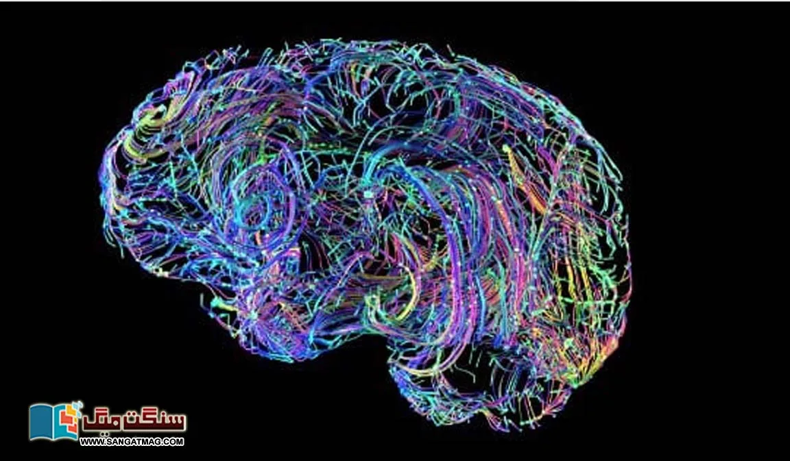 Amazing-changes-in-the-human-brain-after-the-age-of-forty.-How-to-keep-it-healthy-
