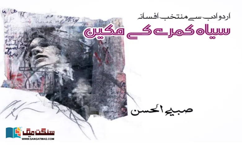 Black-room-resident-selected-fiction-from-Urdu-literature