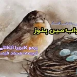 Cuban-Literature-urdu-stories