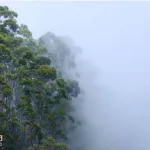 Do-you-know-the-difference-between-climate-and-weather
