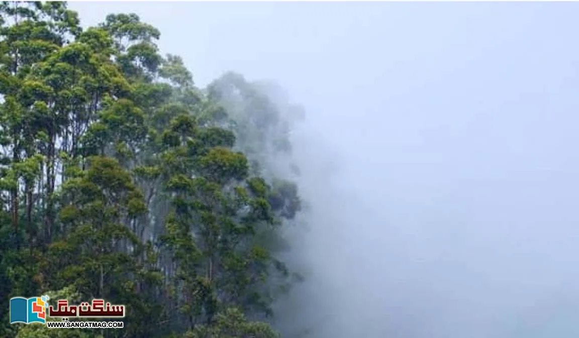 Do-you-know-the-difference-between-climate-and-weather