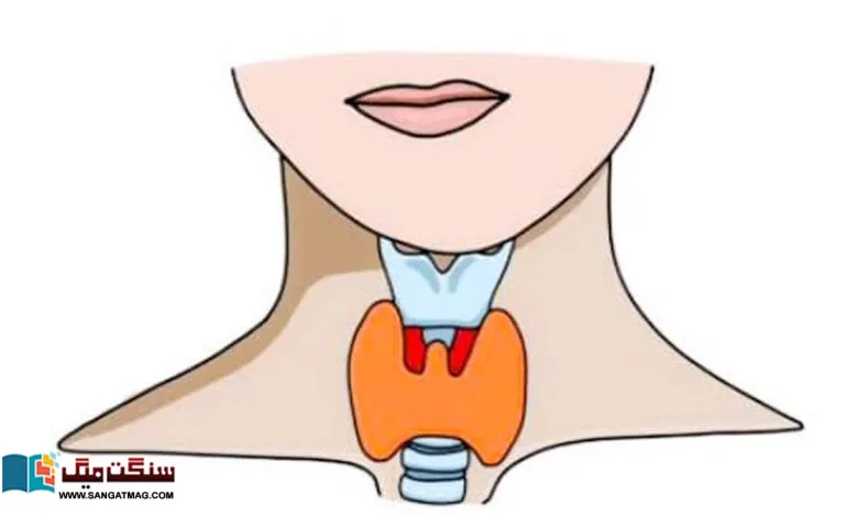 How-does-thyroid-gland-disease-autoimmune-hypothyroidism-affect-us