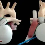 How-long-will-it-take-to-develop-the-perfect-artificial-heart