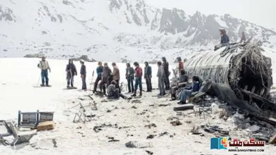Photo of فلم ’سوسائٹی آف دی سنو‘: 11 ہزار 700 فٹ کی بلندی پر برفیلے پہاڑوں میں بقا کی ناقابلِ یقین کہانی