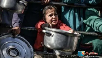 Photo of نہ علاج نہ خوراک۔۔ ’غزہ میں ہر ایک فرد بھوک کا شکار‘، نسل کشی کے حوالے سے ماہرین کا انتباہ