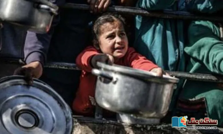 Neither-treatment-nor-food.-Everybody-in-Gaza-is-starving-experts-warn-of-genocide-