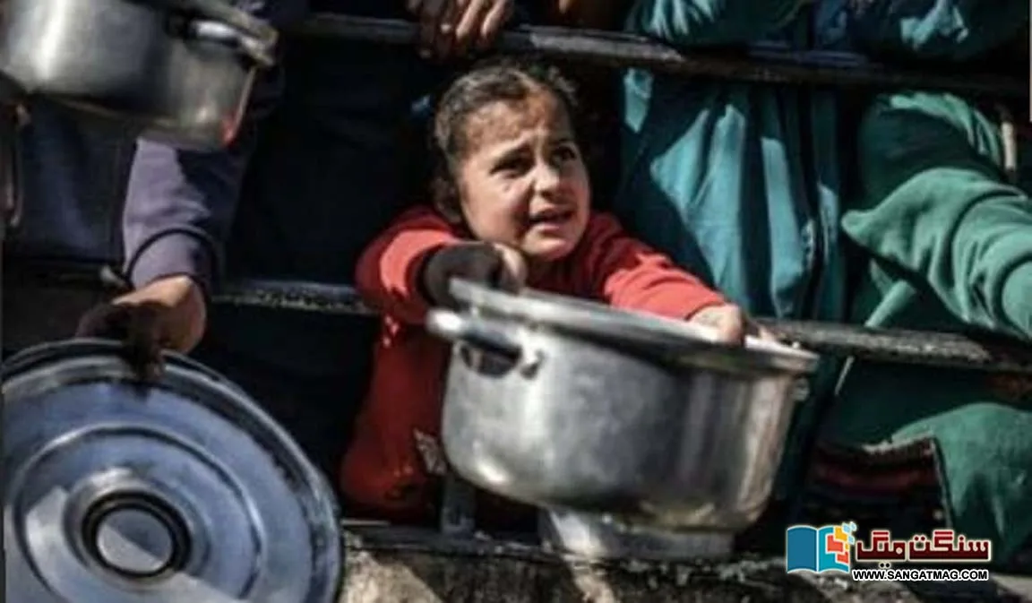 Neither-treatment-nor-food.-Everybody-in-Gaza-is-starving-experts-warn-of-genocide-
