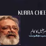 amar-jaleel-karachi-kurra-chee