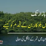 blue-corban-mangroves-sindh-coastal-areas