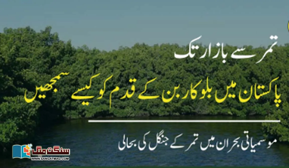 blue-corban-mangroves-sindh-coastal-areas