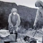 japanese-plan-to-rid-america-of-germs