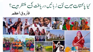 Photo of کیا پاکستان میں نئی زبانیں دریافت کی منتظر ہیں؟