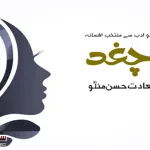 Chaghad-Selected-Fiction-from-Urdu-Literature-