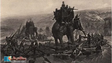 Photo of جنگوں میں ہاتھیوں کے استعمال کی تاریخ