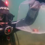 Ocean-heatwaves-may-affect-aquatic-food-chain-research